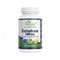 Natural Vitamins Colostrum 500 mg Πρωτόγαλα 30% ανοσοσφαιρίνες lgG 60 Κάψουλες