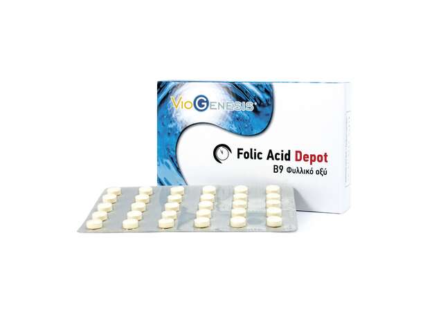 Viogenesis Folic Acid Depot B6 Φυλλικό οξύ 18g/ 90caps