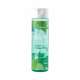 Medisei Panthenol extra Detox Tonic Lotion με AHA 200ml