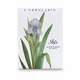 L'Erbolario Iris Sacchetto Profumato per Cassetti Αρωματικό Ρούχων 1τμχ